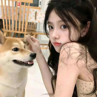 命运小说家